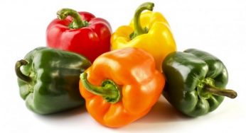 Come coltivare i peperoni nell'orto