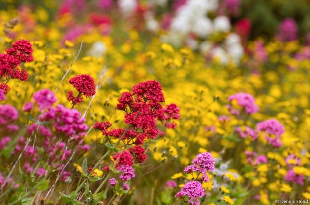 equinozio di primavera
