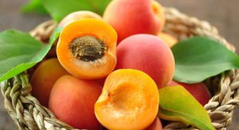 Albicocche: proprietà, benefici e ricette