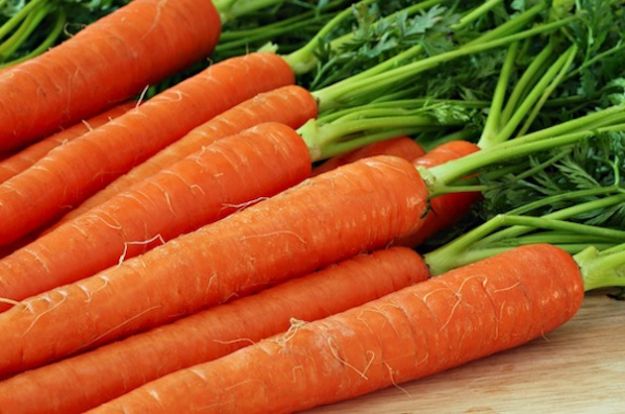 come coltivare le carote nell orto