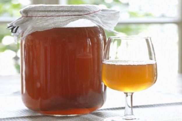 kombucha kombucha