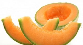 10 ricette estive vegan con il melone