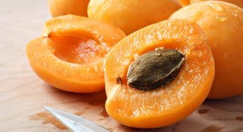 Come coltivare le albicocche