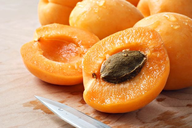 come-coltivare-le-albicocche come coltivare le albicocche
