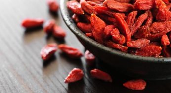 Come coltivare le bacche di Goji