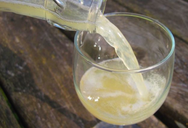 kefir-d-acqua-benefici-ricetta kefir d acqua benefici ricetta