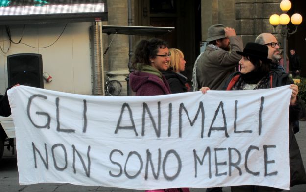 mangiare carne viola diritti animali