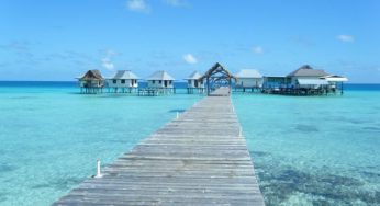 Qual è il tuo habitat naturale? [TEST]