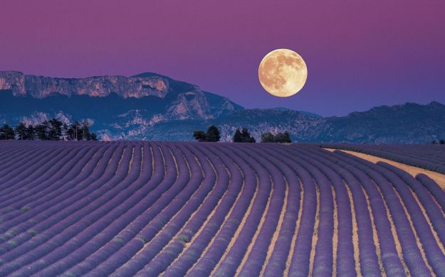 coltivare-secondo-la-luna coltivare secondo la luna