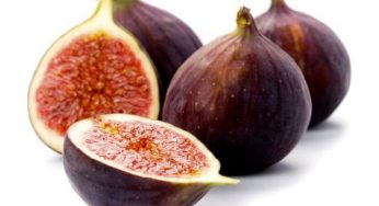 Come coltivare i fichi