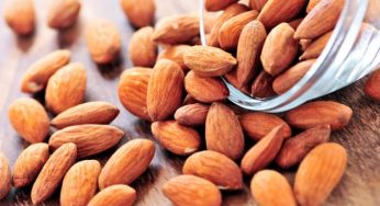 Come coltivare le mandorle