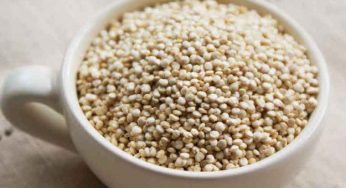 Come cuocere la quinoa