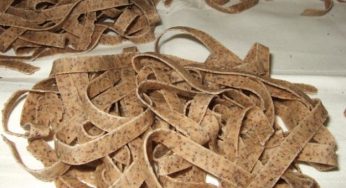 Come fare la pasta di grano saraceno in casa