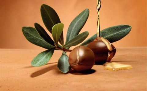 olio di argan doposole