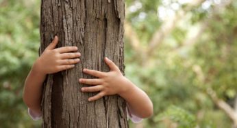 Abbracciare gli alberi fa bene: 5 motivi per crederci