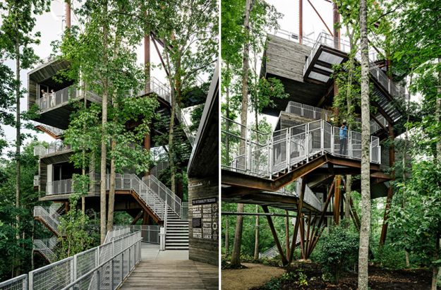 Sustainability Treehouse – Summit Bechtel Reserve