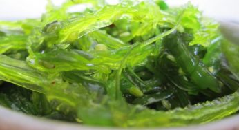 Alga Wakame: cos'è e quali sono le sue proprietà
