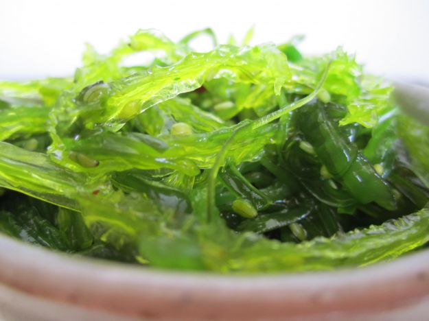 alga-wakame alga-wakame