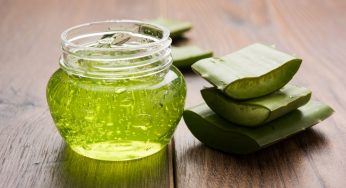 Aloe vera gel: proprietà, benefici e modi per utilizzarlo
