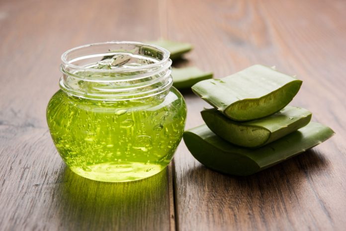 Aloe vera gel Aloe vera gel proprietà e modi di utilizzo