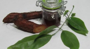 Balsamo del tolù, cos'è e quali sono i benefici