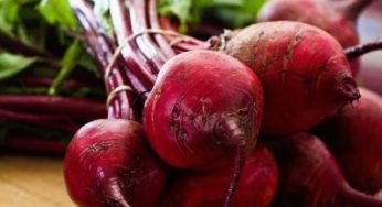 Barbabietole: proprietà e ricette