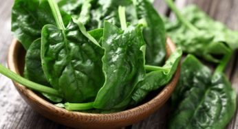 Come coltivare gli spinaci