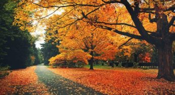 8 motivi per amare l'autunno