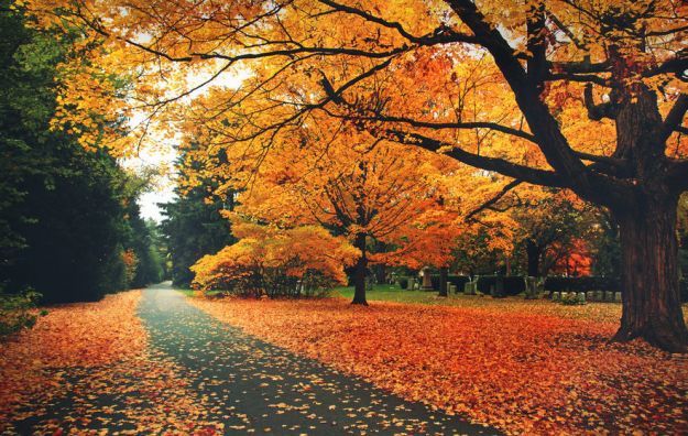 motivi-per-amare-l-autunno motivi per amare l autunno