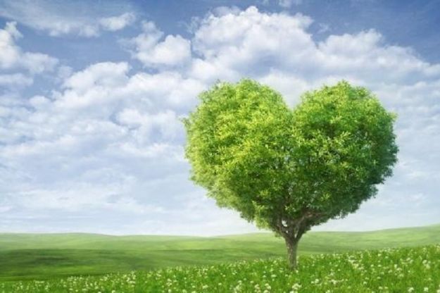 rispettare-la-natura rispettare la natura