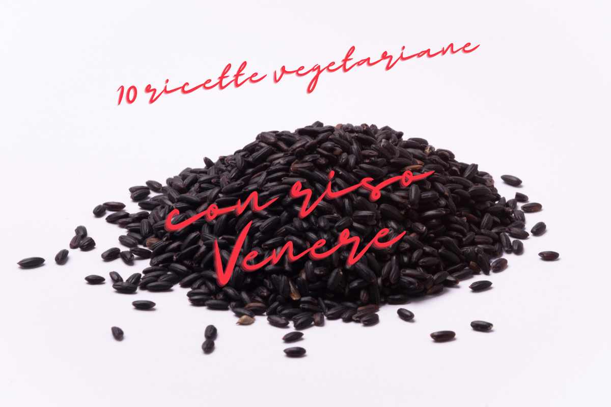 10 ricette vegetariane con Riso Venere