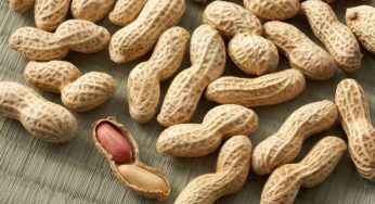 Arachidi: proprietà benefiche e valori nutrizionali