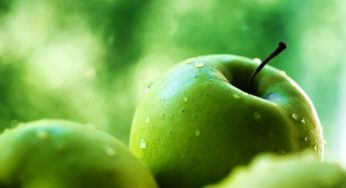 Mele verdi: proprietà, benefici e ricette
