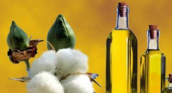 Olio di cotone: cos'è e a cosa serve