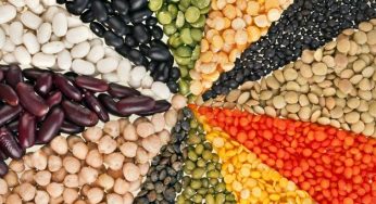 Proteine vegetali: 10 miti da sfatare