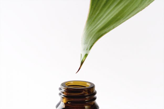 tea-tree-oil