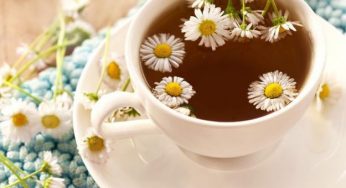 10 tisane per combattere il freddo