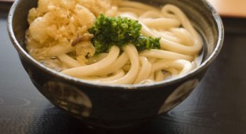 Udon, ricette giapponesi vegane
