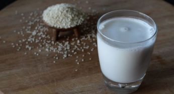 Come fare il latte di sesamo in casa: la ricetta
