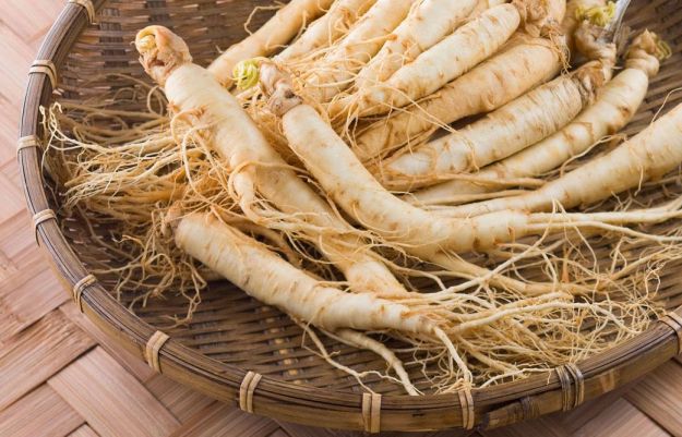 ginseng-proprieta-benefici ginseng proprieta benefici