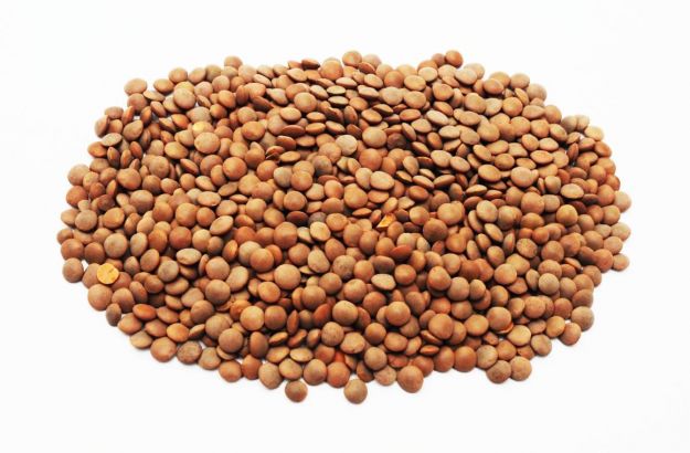 lenticchie
