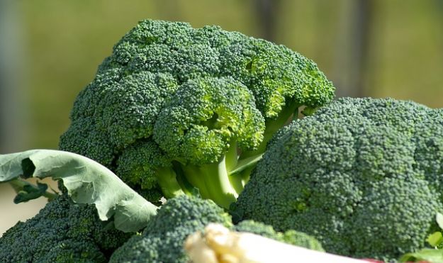 broccoli ortaggi invernali sott aceto