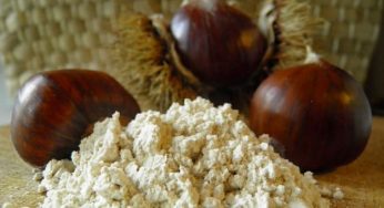 10 ricette con la farina di castagne: le migliori