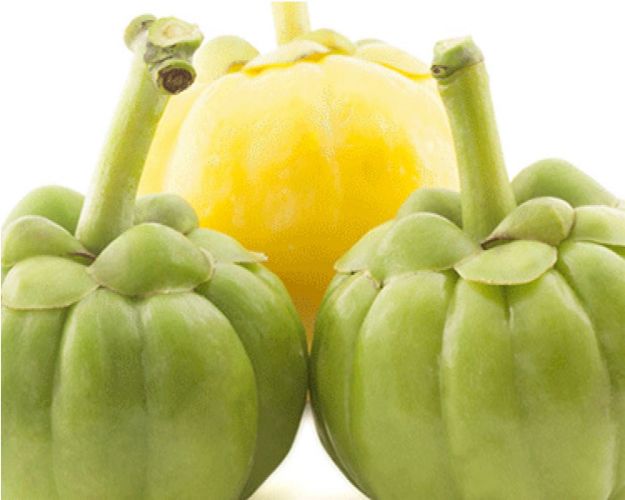 garcinia-cambogia- garcinia cambogia