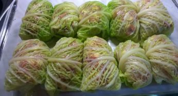 Involtini di verza, la ricetta vegana