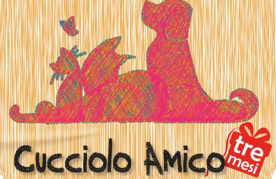 lav cucciolo amico natale ecologico 2015