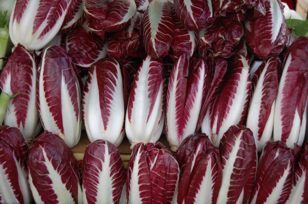 radicchio- radicchio