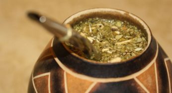 Yerba mate: cos'è e a cosa serve