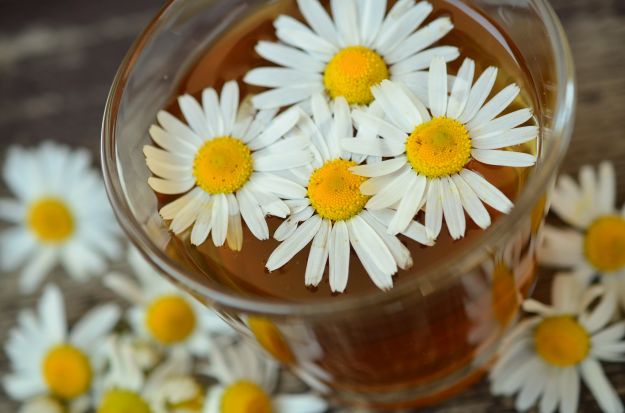 fiori commestibili quali sono come si usano cucina