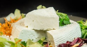 Formaggi senza caglio animale: l’elenco completo